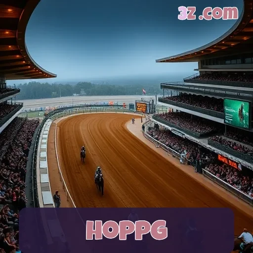 hoppg Segurança